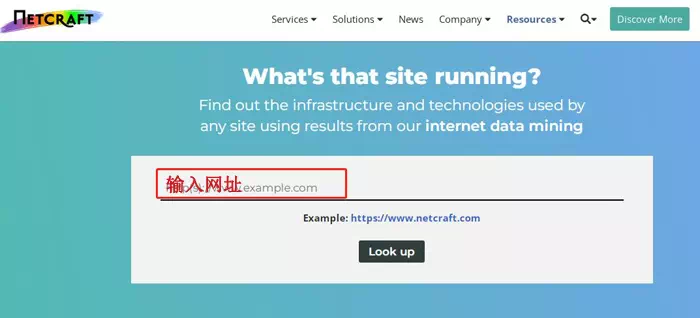 网站服务器信息查询工具 网站服务器信息查询工具