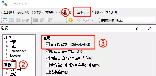 Winscp显示隐藏文件
